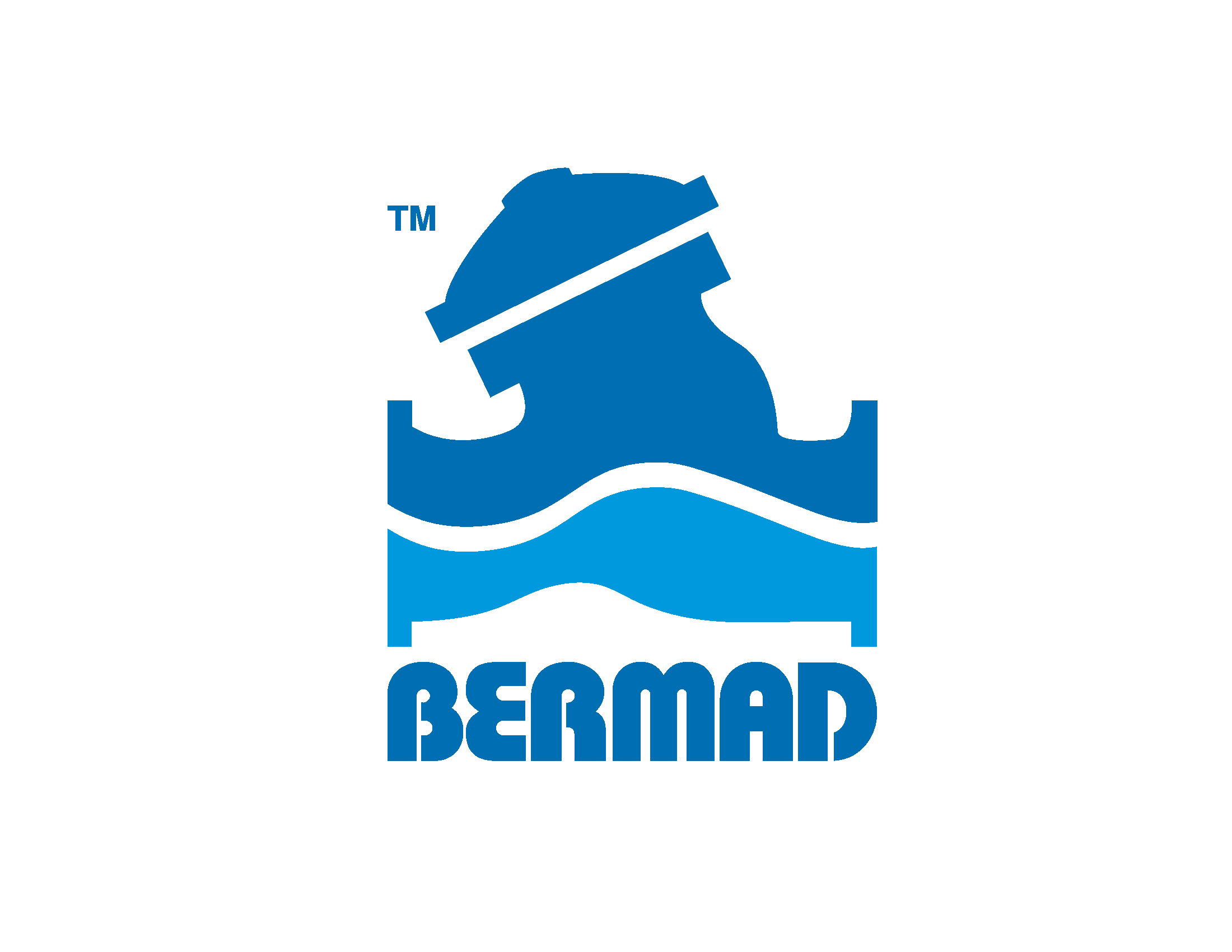 Bermad Logo
