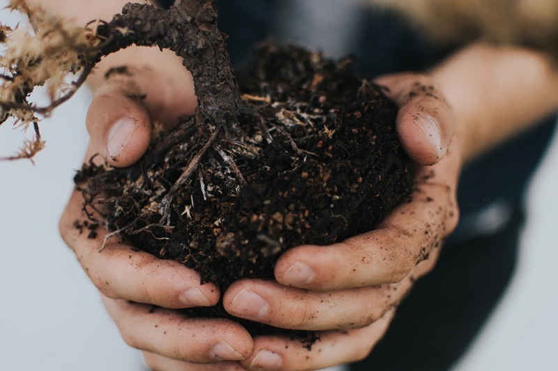 learn-biosolids.jpg#asset:488