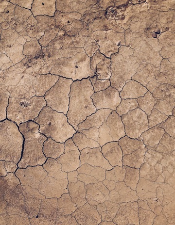 Learn Drought Thumb Learn Drought Thumb
