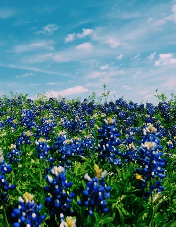 Learn Resourcerecovery Thumb